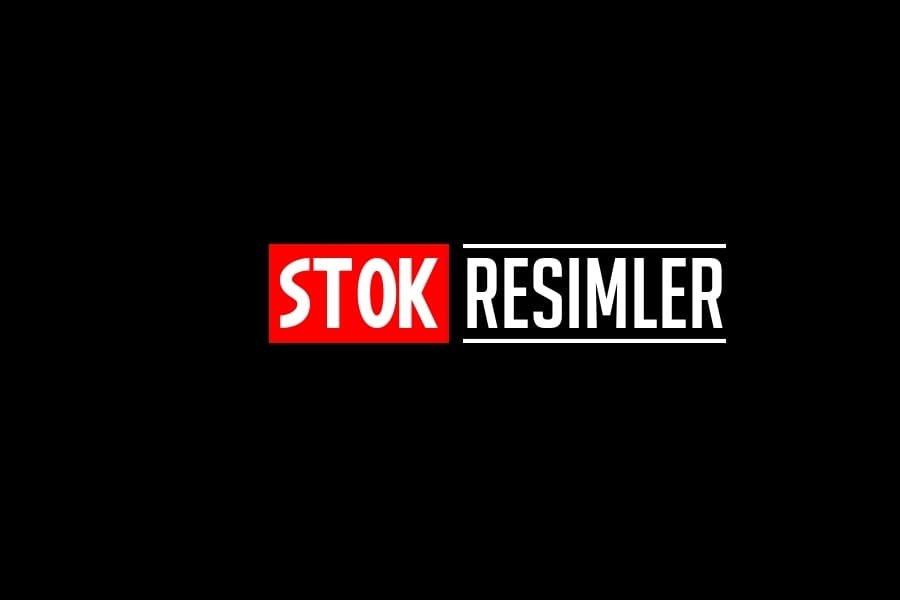 En İyi 10 Ücretsiz Stok Fotoğraf Siteleri