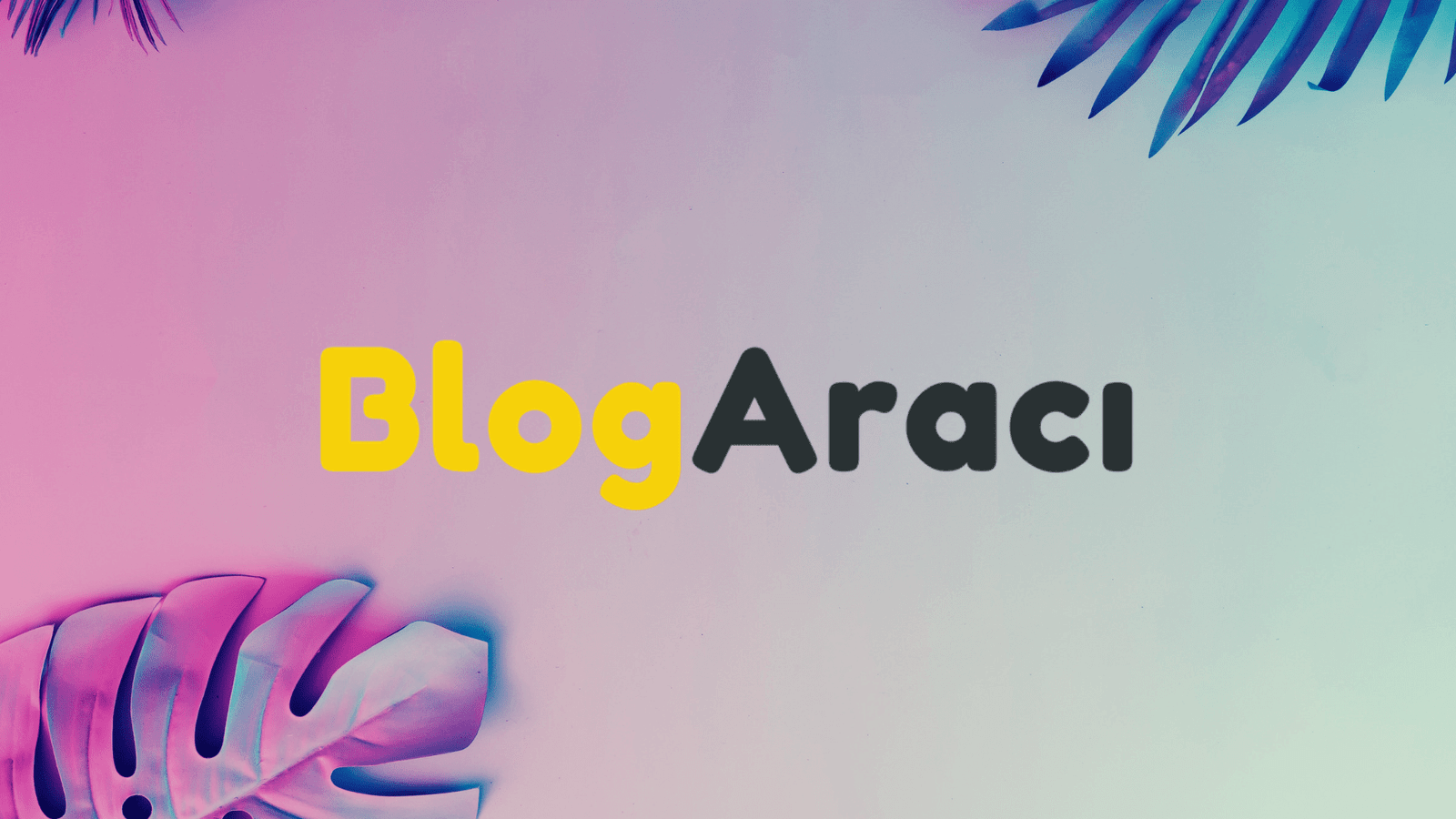 Blog Araci