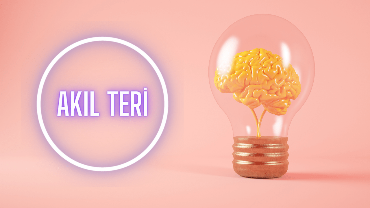Akıl Teri Nedir? Akıl Teri ile Neler Yapılabilir?