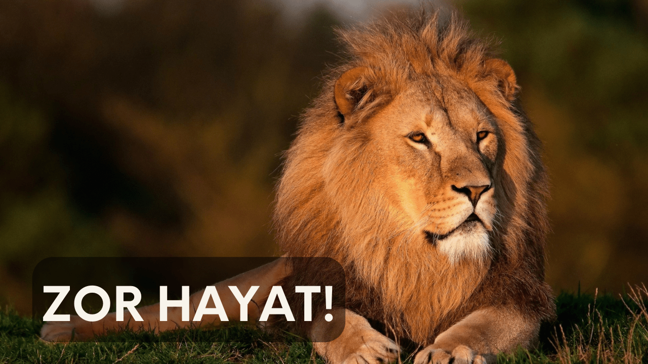 Hayatla İlgili Sözler
