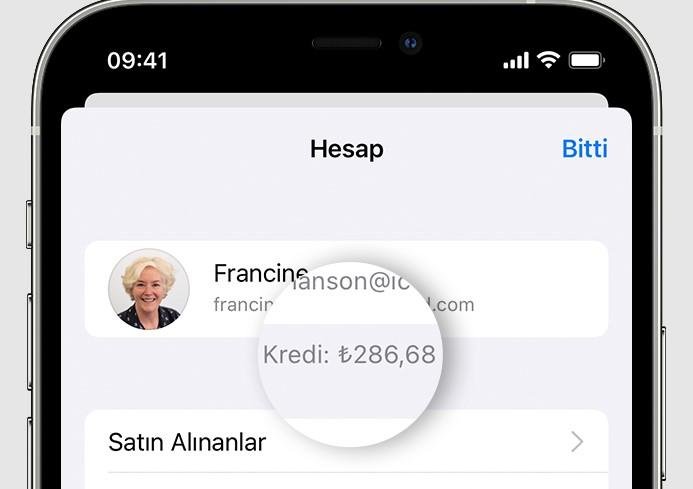 iPhone Birikmiş Para
