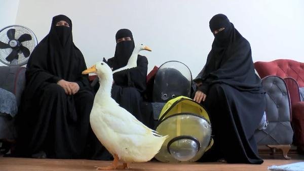 Göletteki Ördekleri Çaldığı İddia Edilen Kadın Konuştu: ‘Bunlar Bizim Ördeklerimiz’