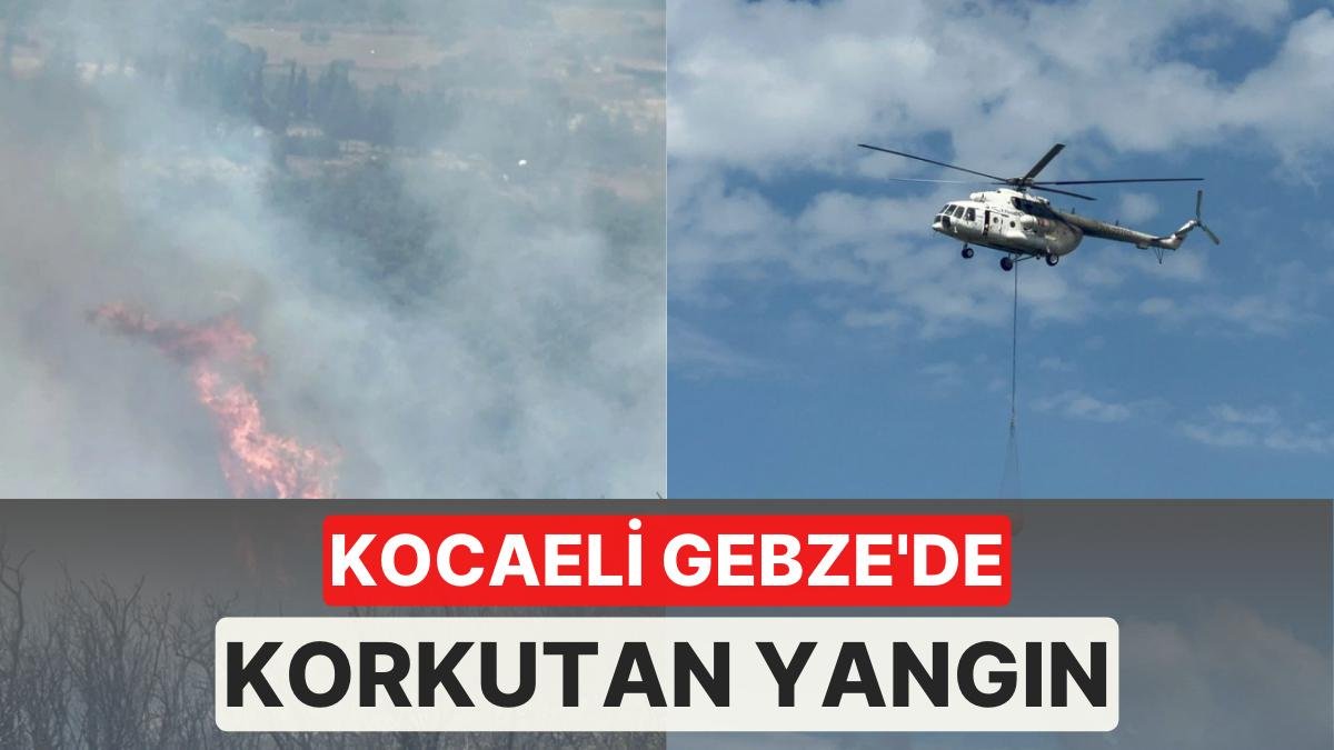 Kocaeli Gebze’de Ormanlık Alan Alev Aldı! Havadan ve Karadan Müdahale Sürüyor