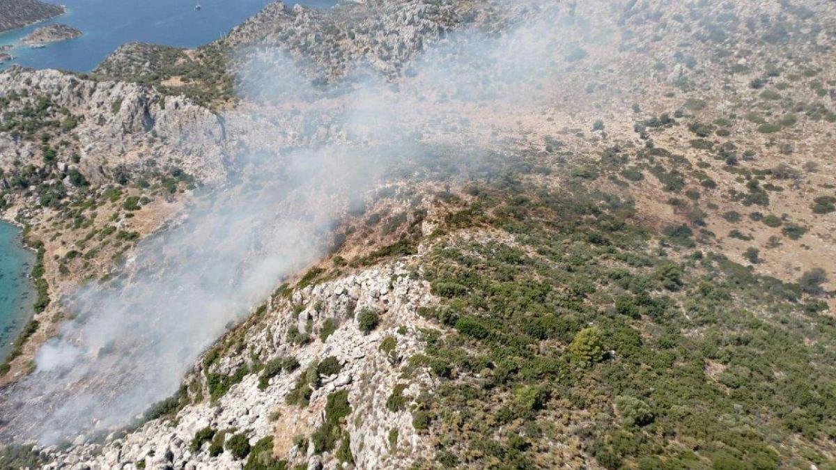 Yangın Çıkaran Çobana Gözaltı: Yılanları Kaçırmak İçin Makilikleri Yakmış