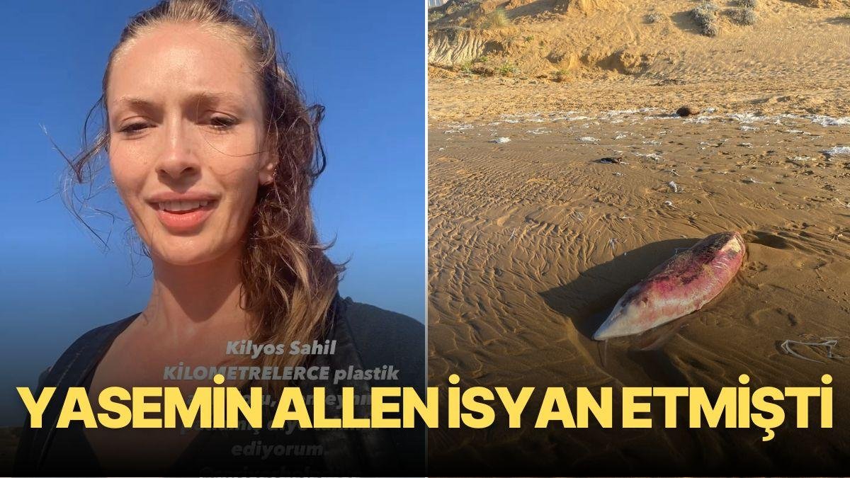 Yasemin Allen İsyan Etmişti: Yavru Yunusun Öldüğü Sahilde Temizlik Çalışması Yapıldı