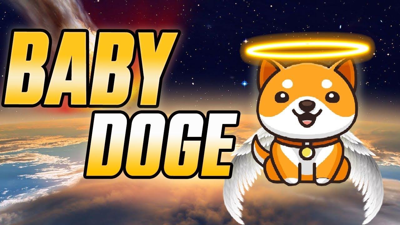 BabyDoge Coin Nedir?