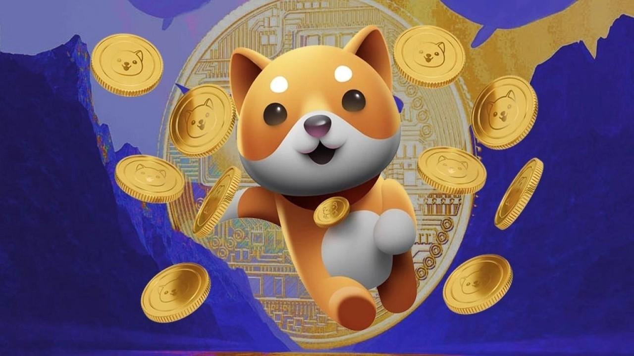BabyDoge Coin Nedir? Nereden Alınır? Değerlenir mi?