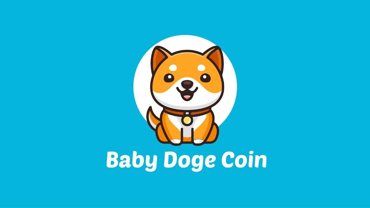 BabyDoge Coin Nedir?