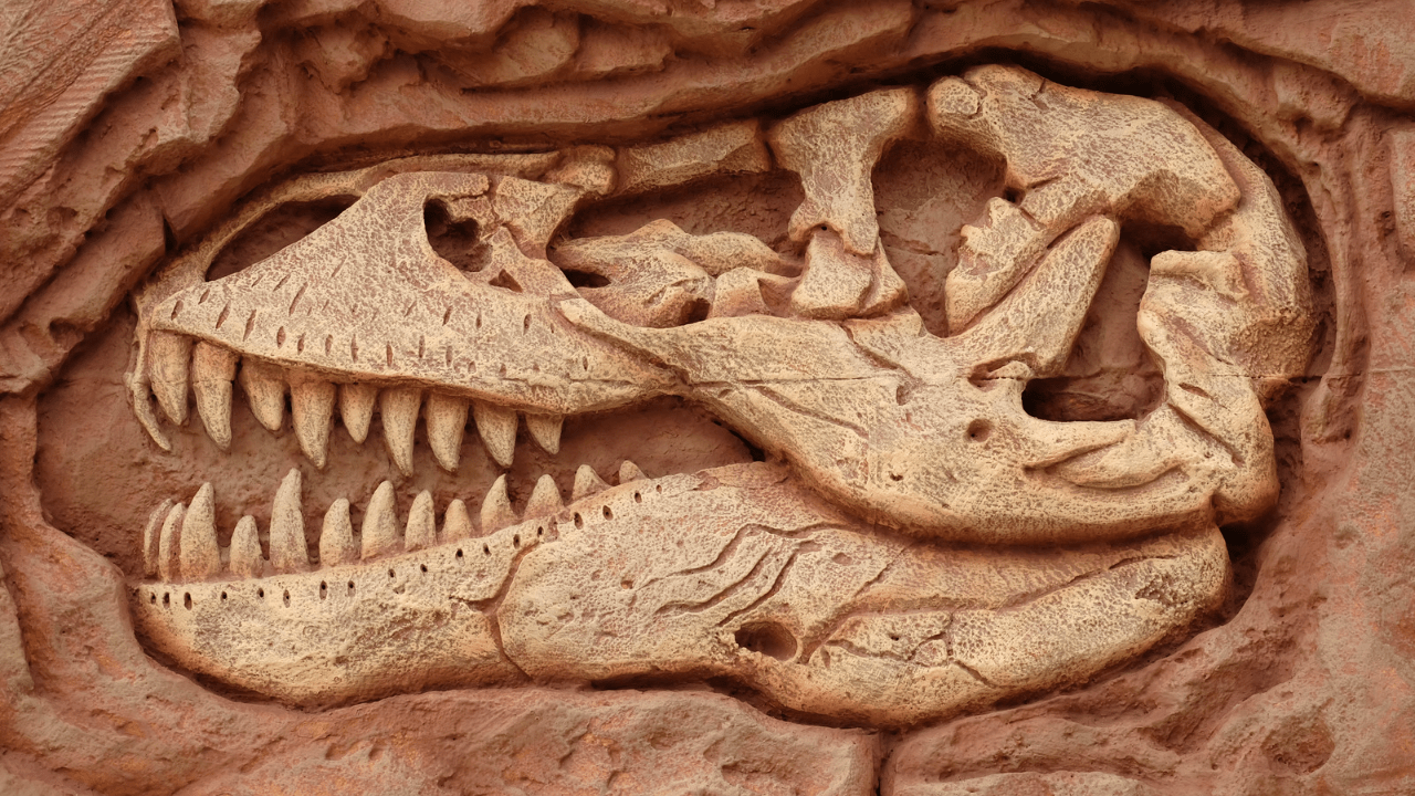 Dinozorların Yok Oluşu! 66 Milyon Yıl Önce Gök Taşı Etkisi