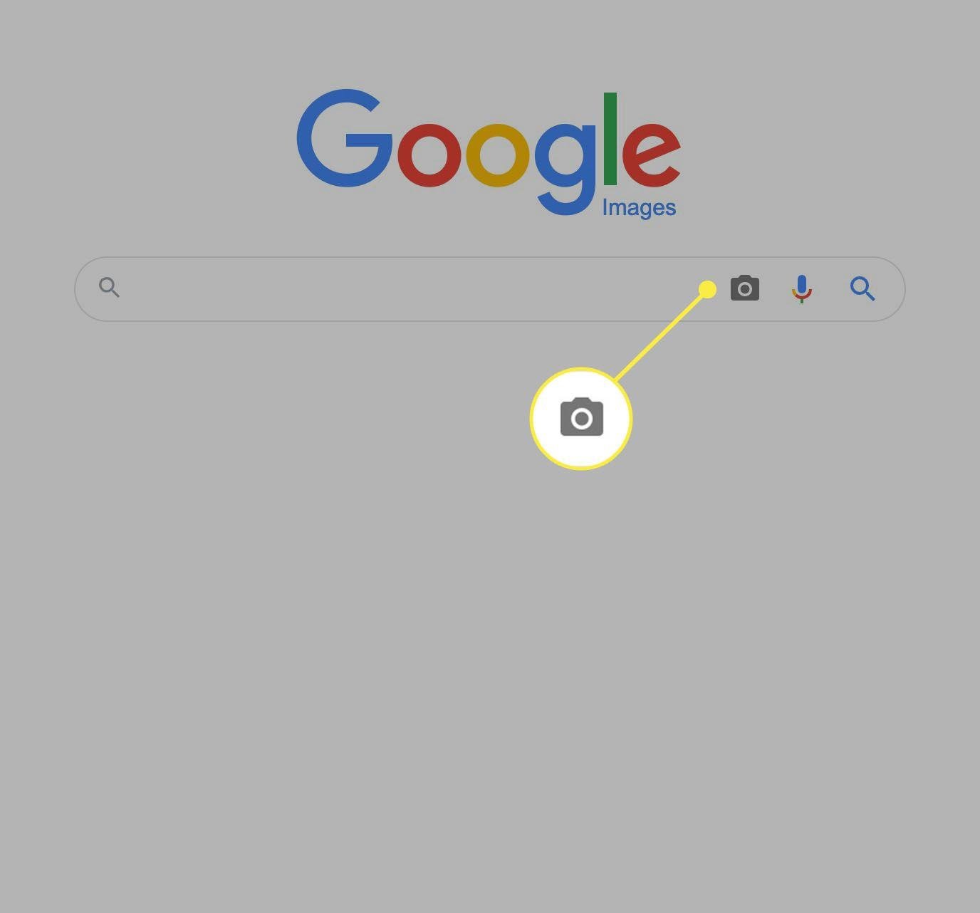 Ters Görsel Arama Nedir ve Nasıl Çalışır?