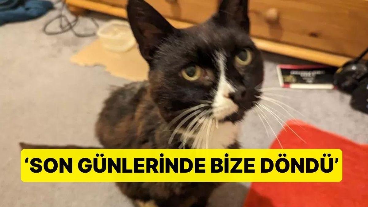 11 Yıldır Kayıp Olan Kedisine Mikroçip Sayesinde Kavuştu: ‘Son Günlerinde Bize Döndü’