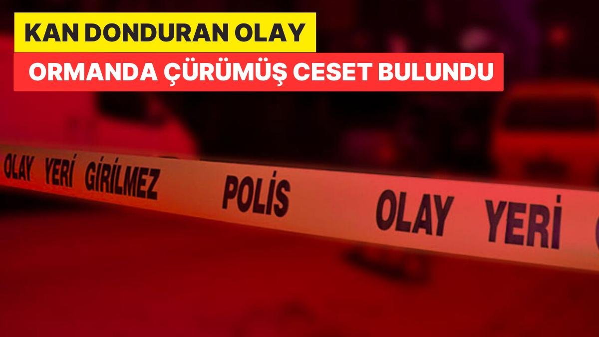 Kocaeli’nde Korkunç Olay: Ormanda Çürümüş Ceset Bulundu
