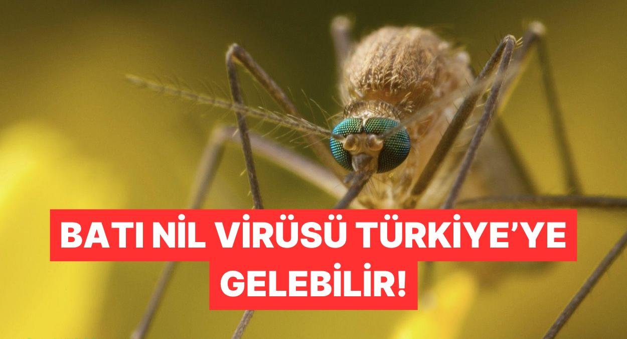 Batı Nil Virüsü Yunanistan’da 19 Kişinin Ölümüne Sebep Oldu! KKTC’de de Tespit Edildi!