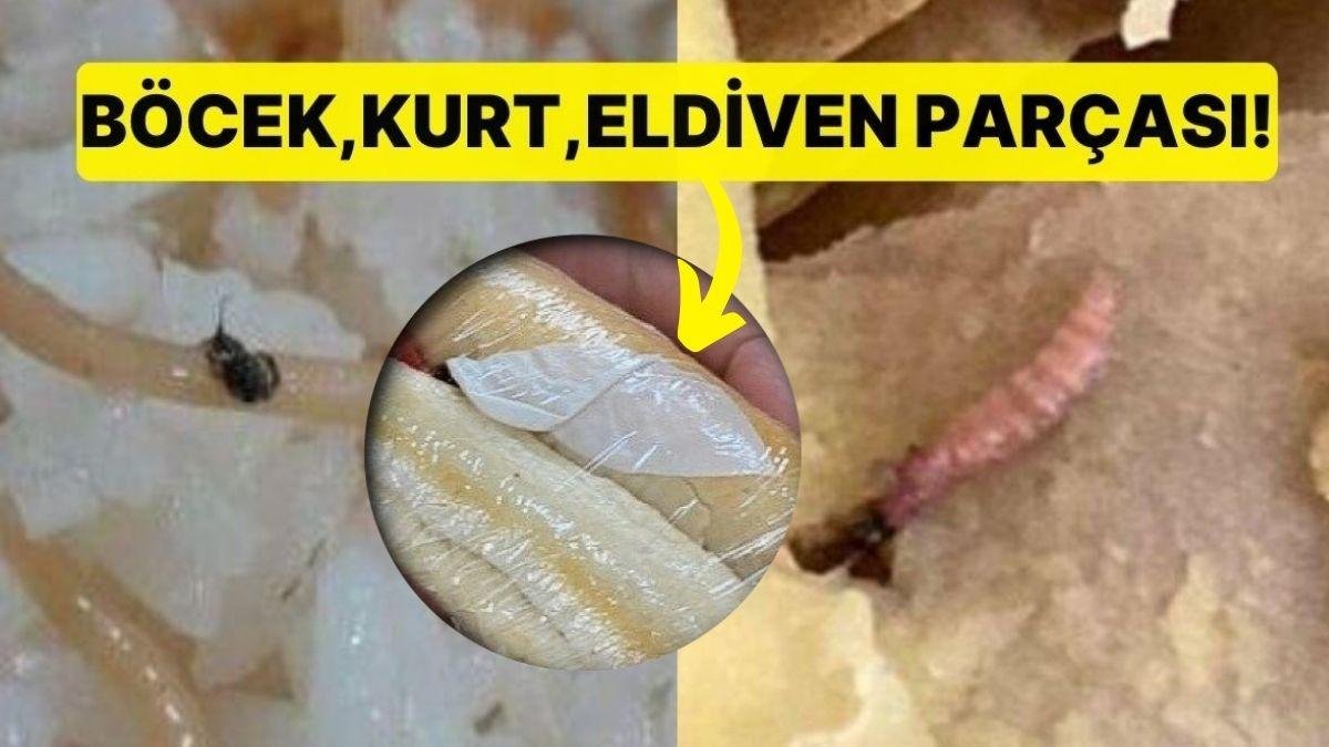 Böcek, Kurt, Eldiven Parçası! KYK Yurdunda Öğrencilere Verilen Yemek Mide Bulandırdı