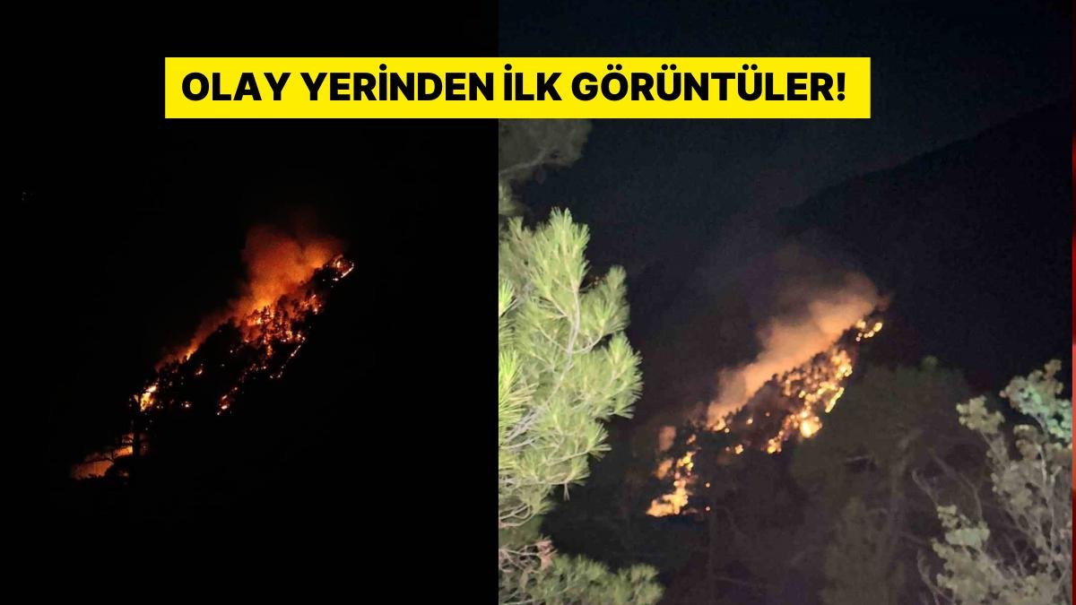 Ciğerlerimiz Yanıyor: Burdur’da Orman Yangını!