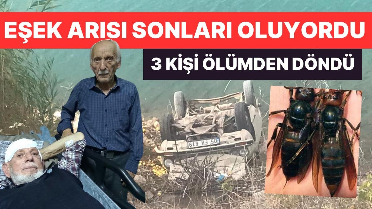 Eşek Arısı Seyir Halindeki Arabaya Girdi, 3 Kişi Ölümden Döndü