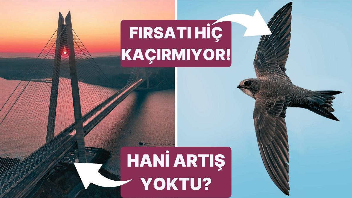 Otoyol ve Köprü Ücretlerine Zam Yapıldı mı, Gazze’ye Ebabil Kuşları mı Geldi? Son Günlerdeki 7 İddia