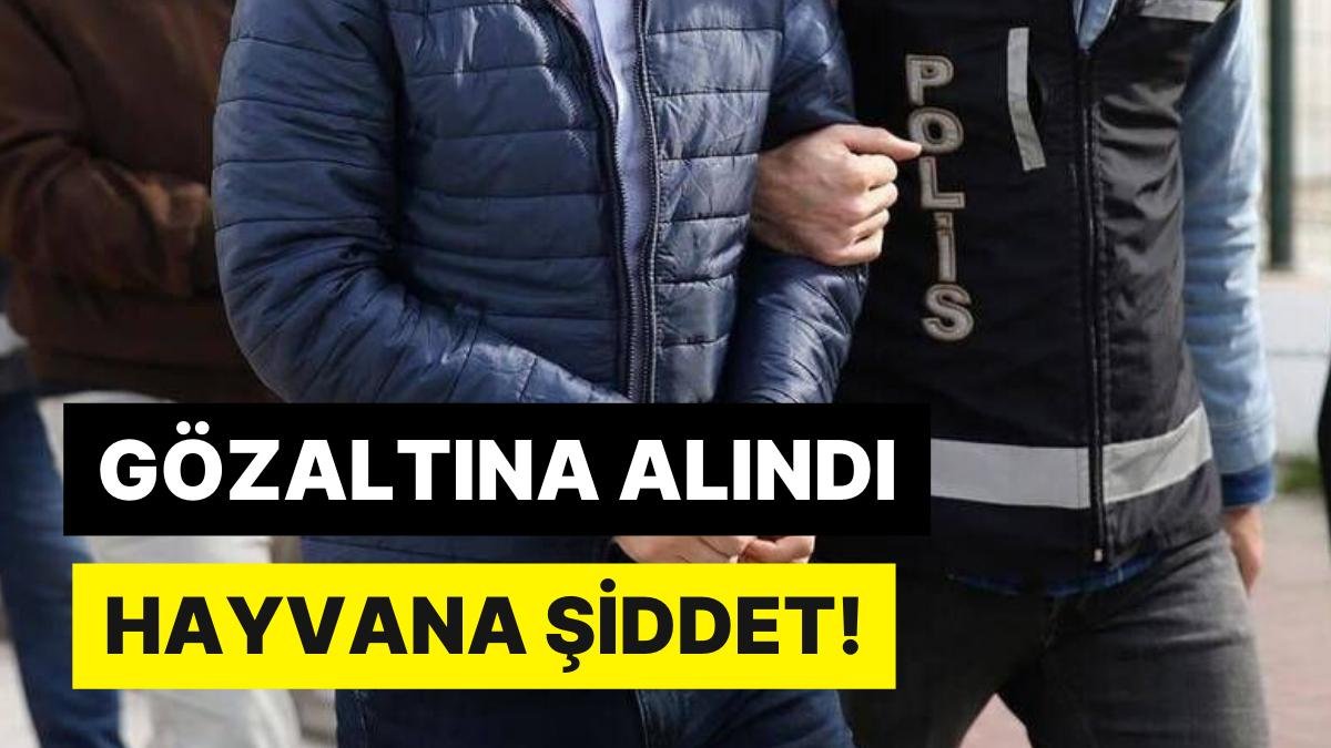 Kırıkkale’de Dehşet: Sokak Köpeğini Öldürdü