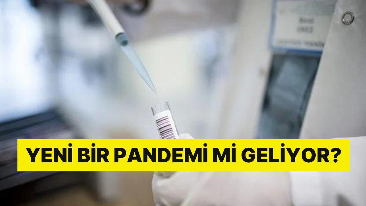 Dünyanın Yeni Korkusu: Japonya’da Maymun Çiçeği Virüsü Aldı