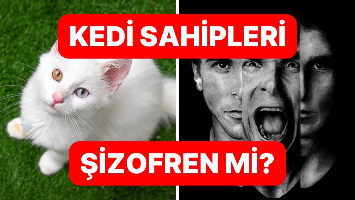 Kedi Sahipliği ile Şizofreni Arasında Bağlantı Bulundu!