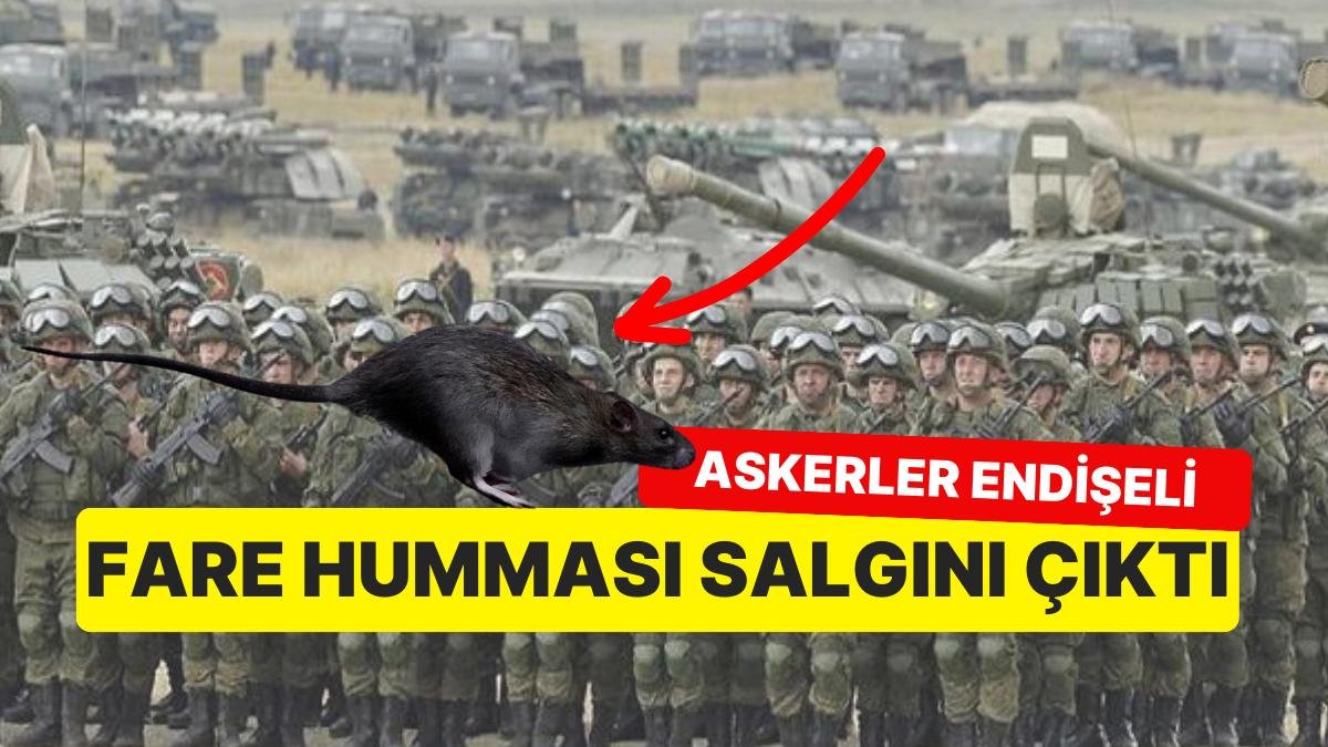 Orduda Salgın Krizi: Ukrayna’da Savaşan Askerler Fare Humması Hastalığına Yakalandı