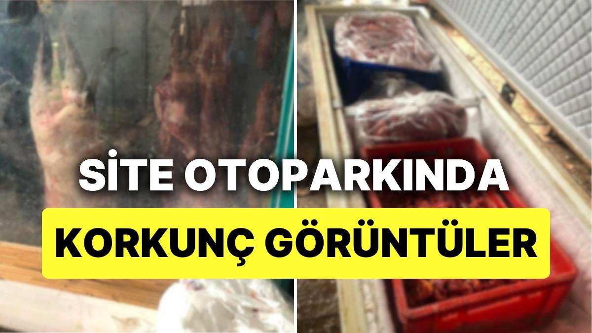 Bursa’da Korkunç Görüntüler: Site Otoparkını Mezbahaya Çevirmişler!