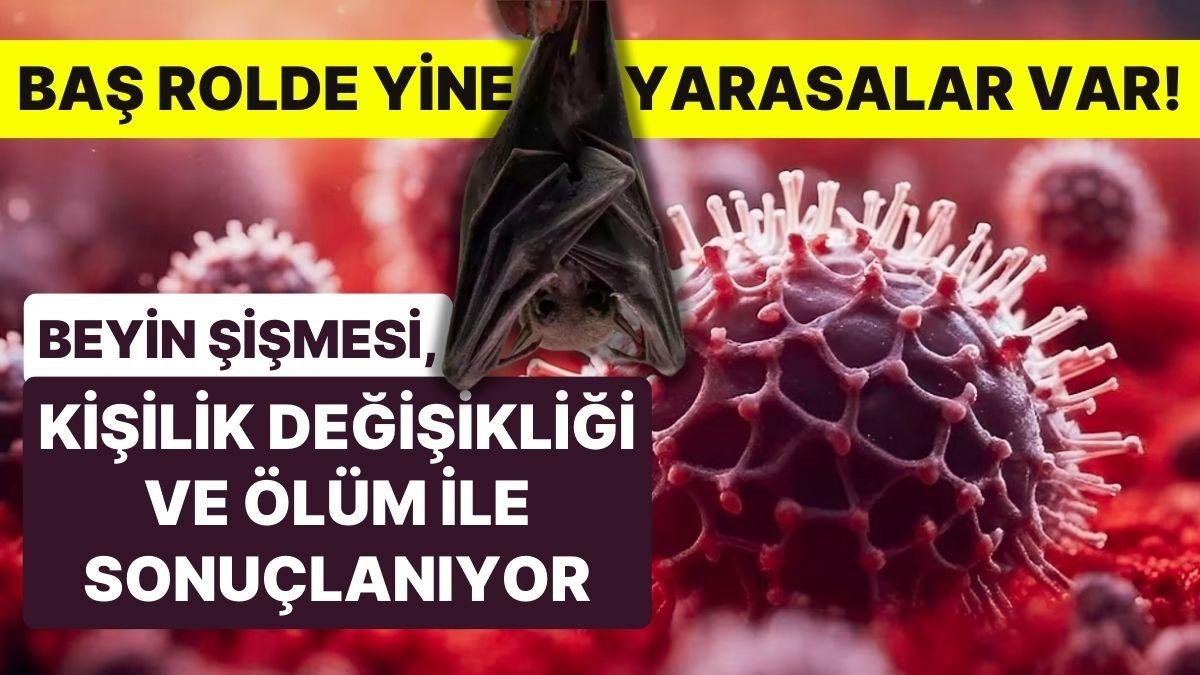 DSÖ ‘Pandemi Riski’ Olarak Değerlendirdi! Vakalar, Ölüm ve Kişilik Değişikliği ile Sonuçlanıyor