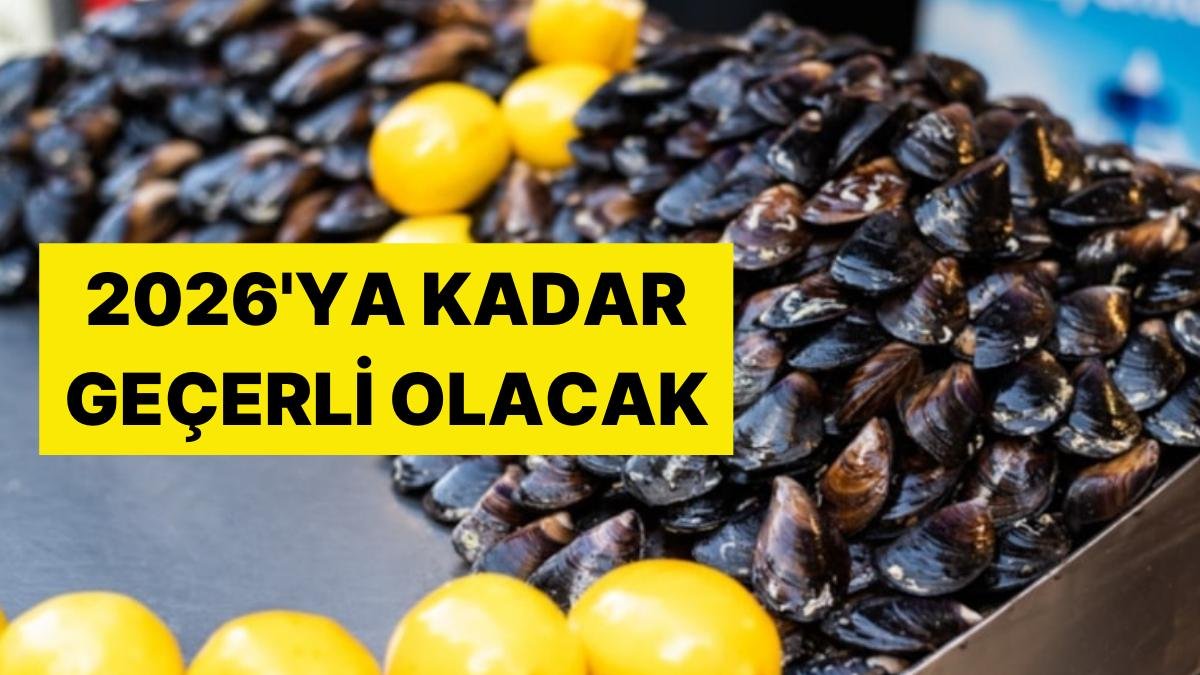 2026’ya Kadar Geçerli Olacak: Türk Midyelerine Yasak Kararı