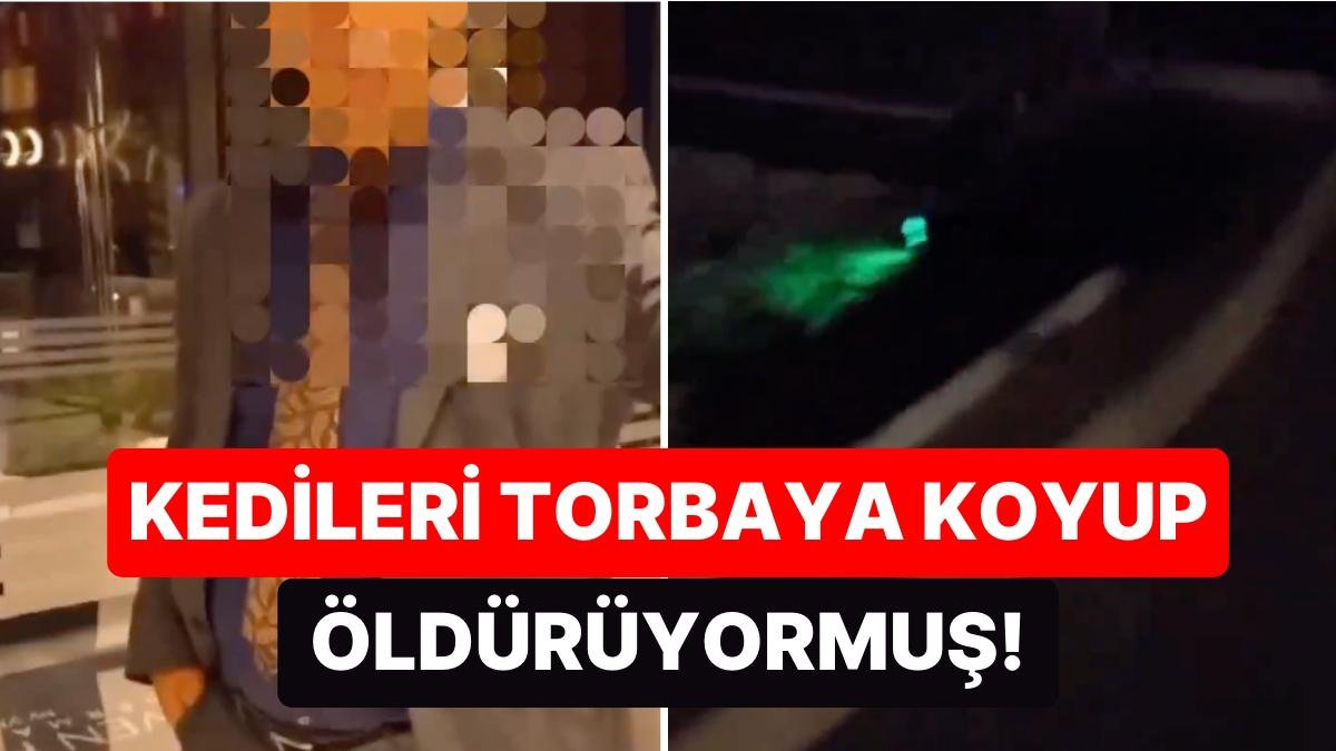 Aydın’da Bir Otelde Kedileri Torbalara Koyup Öldüren Gece Müdürünün İşine Son Verildi