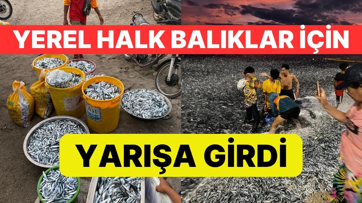 Filipinler’de Hayrete Düşüren Görüntüler: Milyonlarca Balık Kıyıya Vurdu