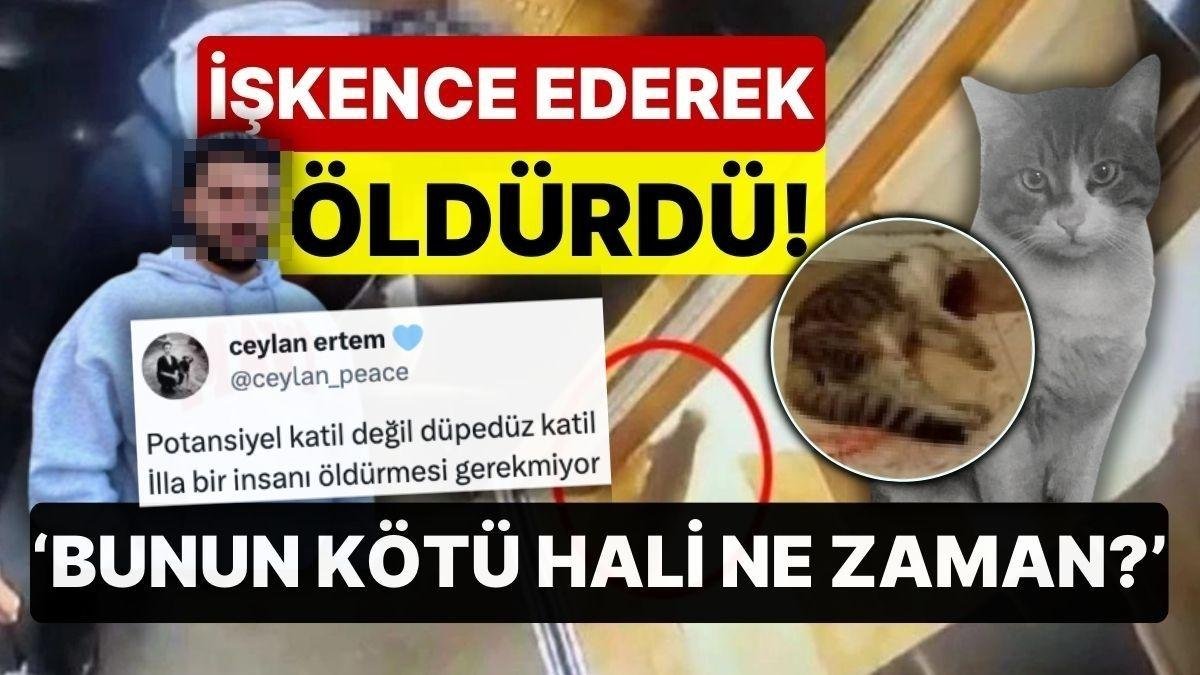 Kediyi Öldüren Caniye İyi Hal İndirimi Tartışmaların Odağında! ‘Bunun Kötü Hali Ne Zaman?’