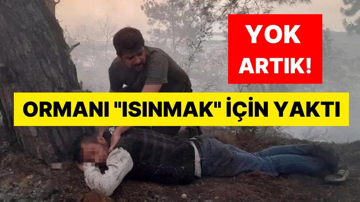 Böylesi Ne görüldü Ne de Duyuldu: Ormanı “Isınmak” İçin Yaktı