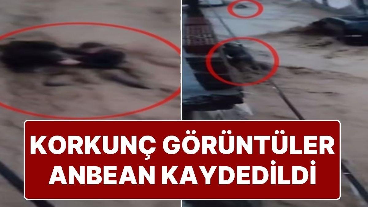 Cizre’de Şiddetli Yağış Hayatı Felç Etti: Bir Kişi Selden Kurtuldu, Başkasını Kurtarırken Yine Sele Kapıldı