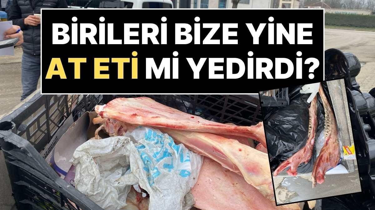 Düzce’de Akıllarda Soru İşareti Bırakan Olay: Çöp Konteyneri İçinde At Kemikleri Bulundu!