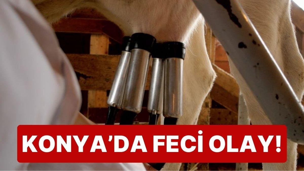 Konya’da Feci Olay: İneği Sağmak İsterken Elektrik Akımına Kapılıp Öldü