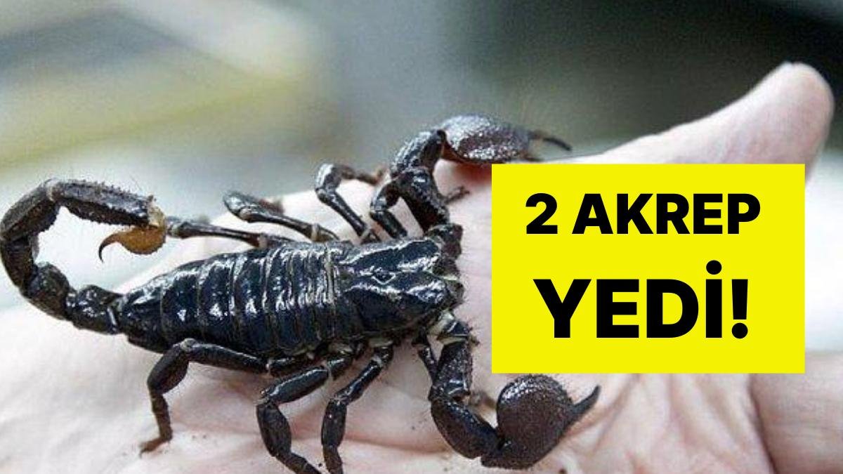 2 Akrep Yiyen Yolcu, Otobüste Fenalaştı: Hastanede Yaşamını Yitirdi