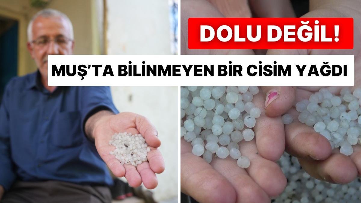 Muş’ta Etkili Olan Sağanaklarda Erimeyen ve Bilinmeyen Bir Cisim Yağdı