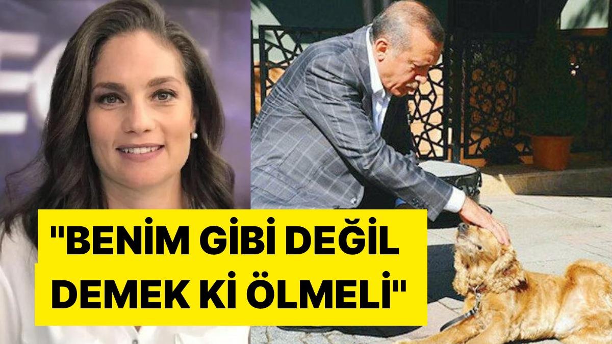 Nevşin Mengü’den Cumhurbaşkanı Erdoğan’ı Kızdıracak Paylaşım: ”Benim Gibi Değil Demek ki Ölmeli”