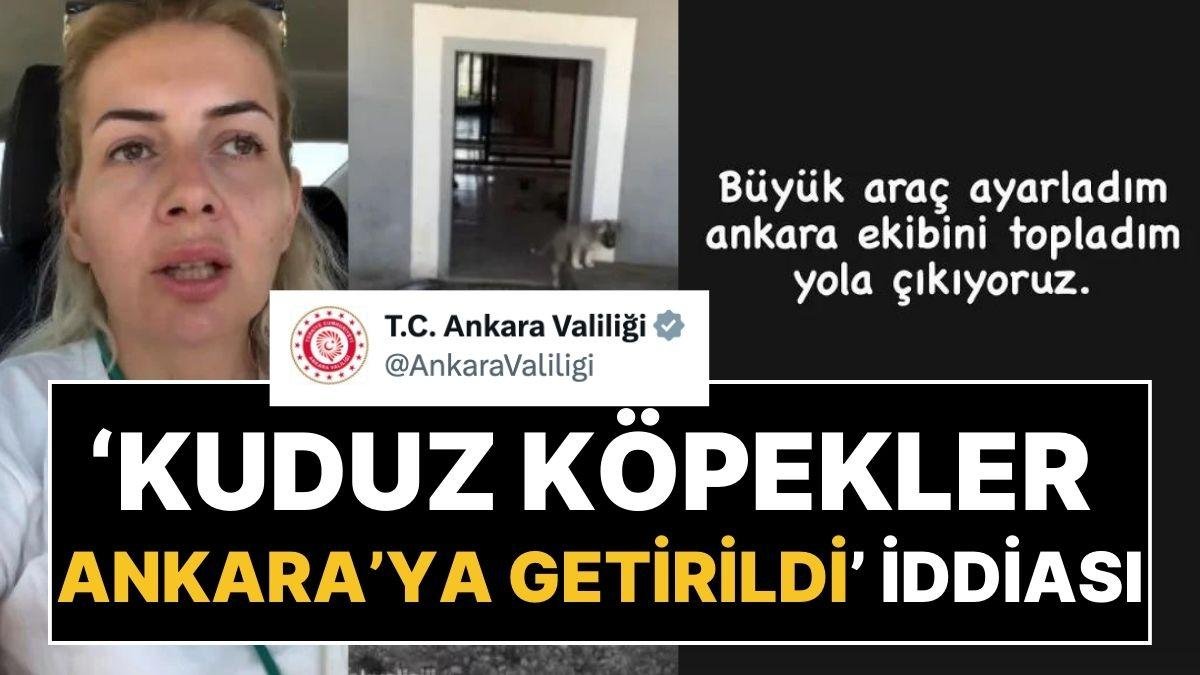 Ankara Valiliği’nden Açıklama: Kuduz Köpekler Ankara’ya mı Getirildi?