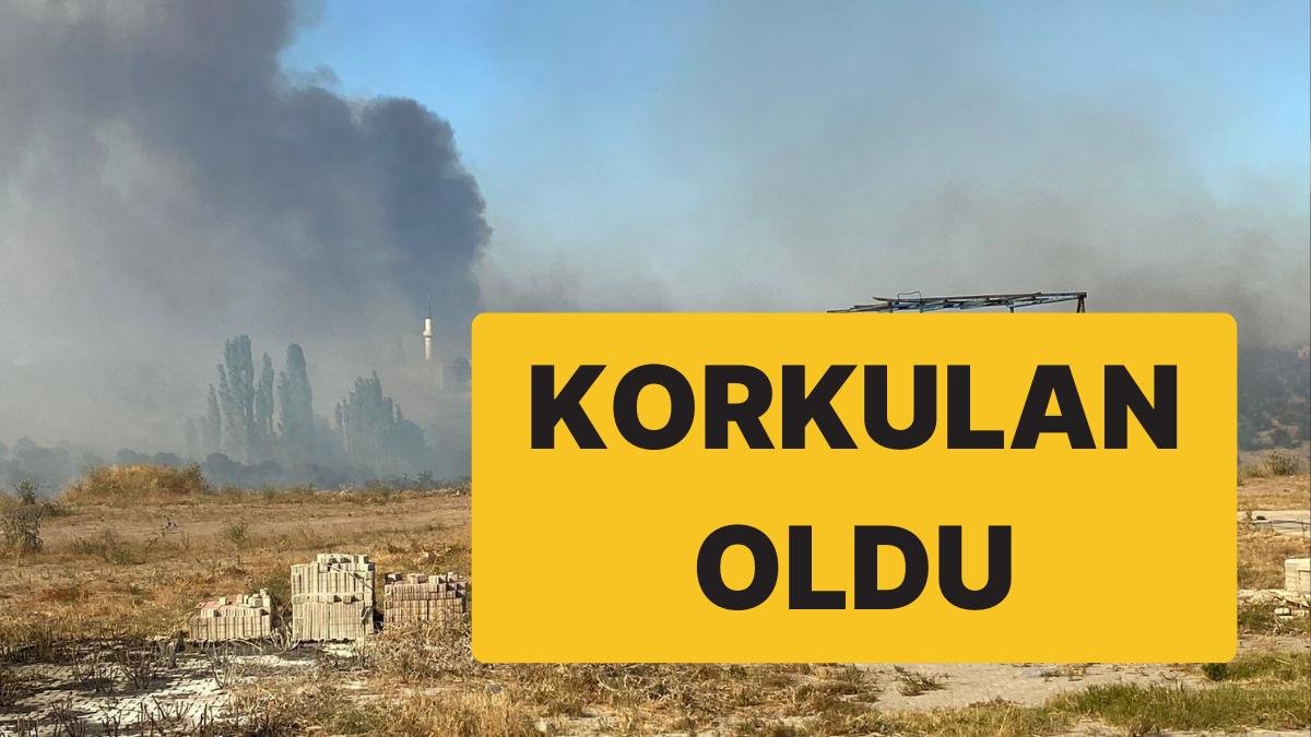 Çanakkale’de Orman Yangını: Yerleşim Yerlerine Ulaştı