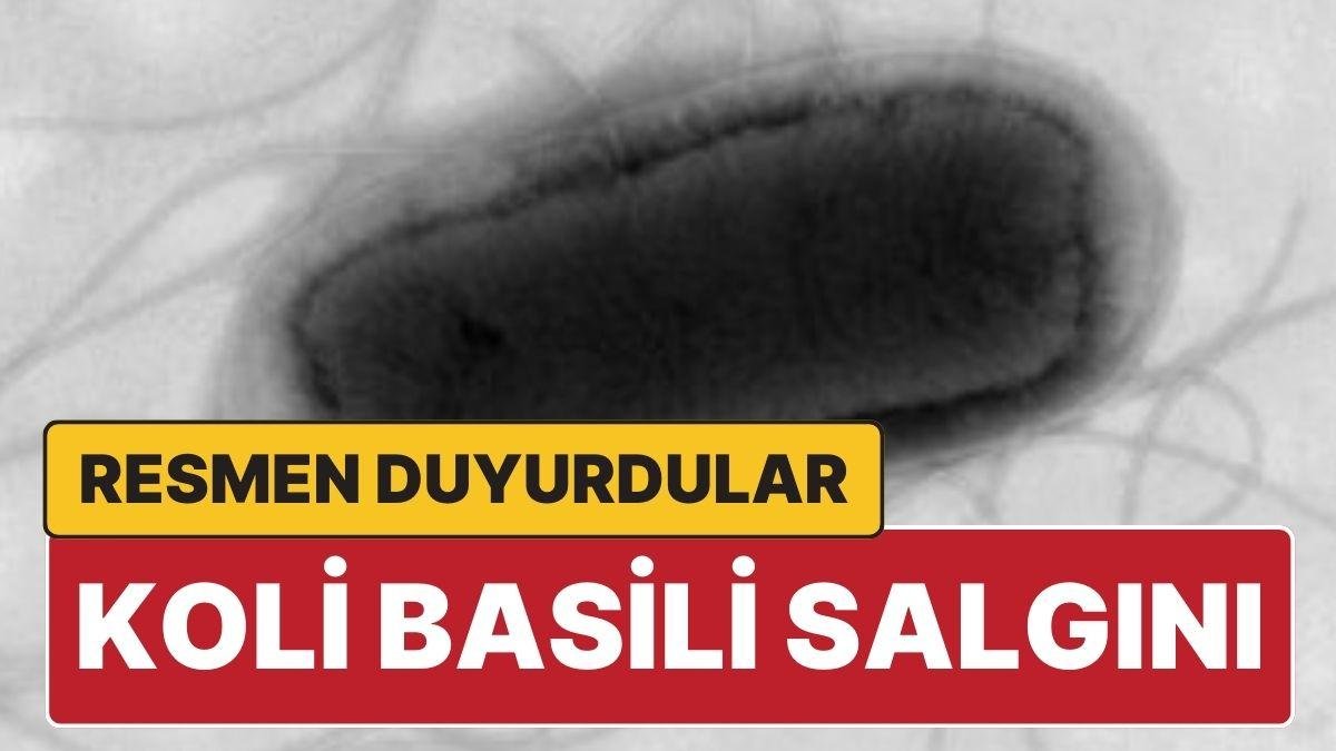 İngiltere ‘Koli Basili’ Salgını Olduğunu Duyurdu: 113 Kişi Karantinaya Alındı