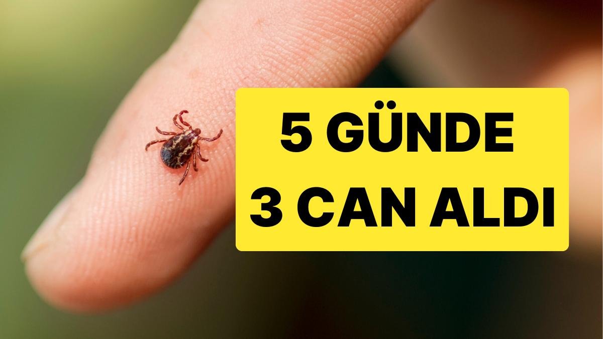 Sivas’ta Kene Beş Günde Üç Can Aldı: Sebebi Kaçak Avlanma Olabilir mi?