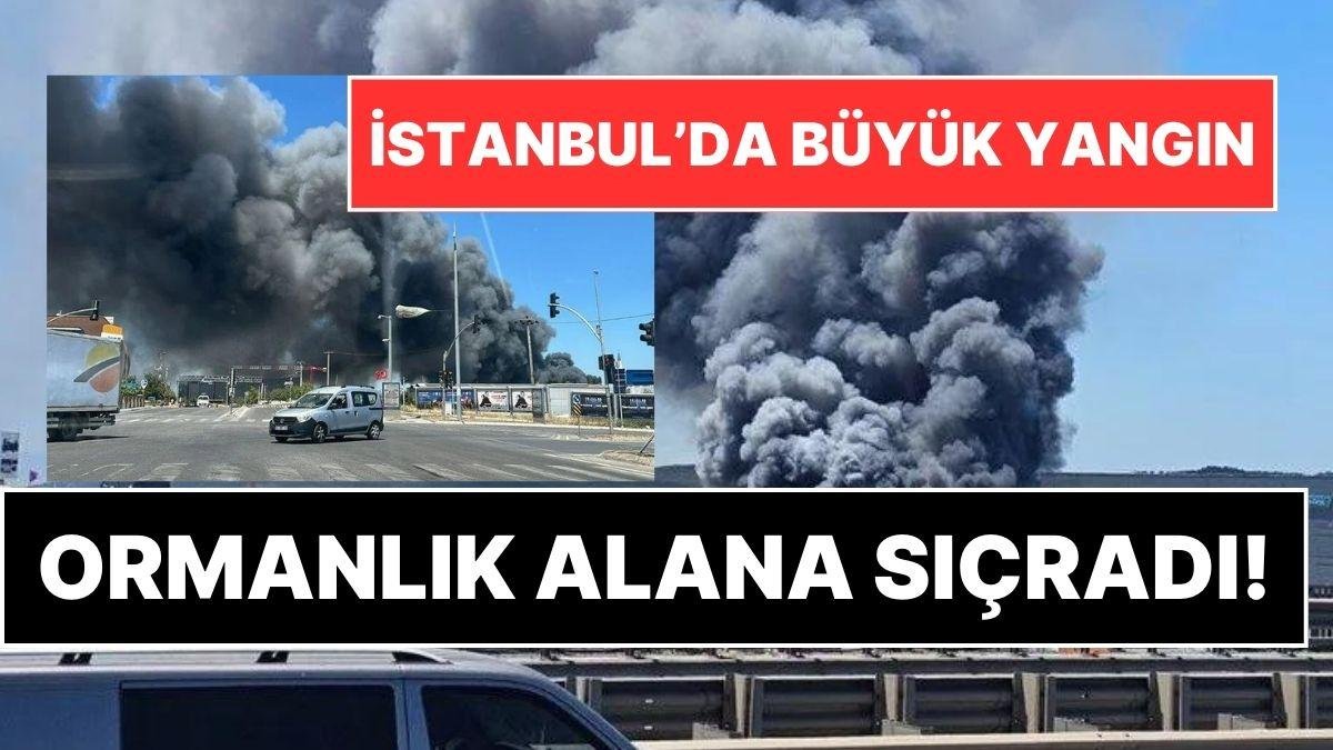 Tuzla’daki Fabrika Yangını Büyüdü! Ormanlık Alan da Yanmaya Başladı