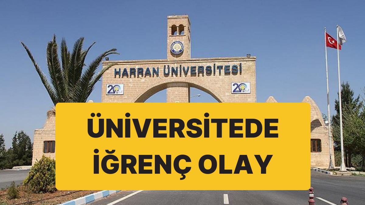 Üniversitede İğrenç Olay: Veteriner Fakültesi’ndeki Köpeğe Tecavüz İddiası