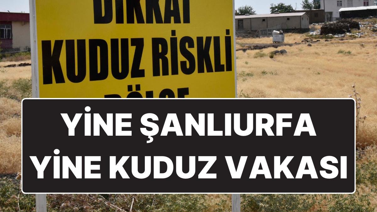 Yine Şanlıurfa Yine Kuduz Vakası: 10 Günlük Karantina Başlatıldı