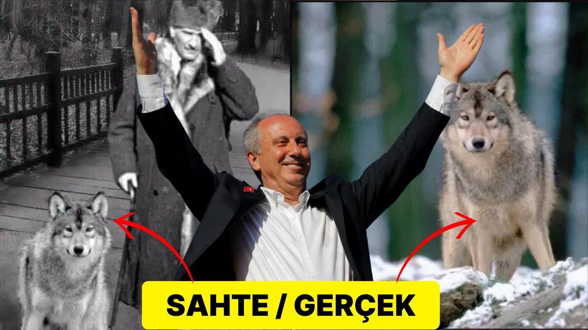 Muharrem İnce’nin Paylaştığı Atatürk ve Bozkurt Fotoğrafının Fotoşoplu Olduğu Ortaya Çıktı