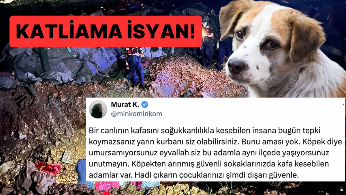 Altındağ’da Parçalanarak Öldürülen Köpekleri Gören İnsanlardan İsyan Çığlıkları Yükseliyor