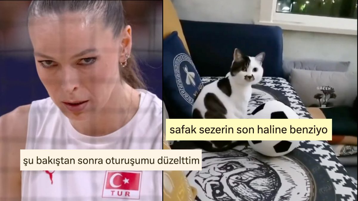 Kaptan Eda’nın Bakışından Şafak Sezer’e Benzeyen Kediye Son 24 Saatin Viral Tweetleri