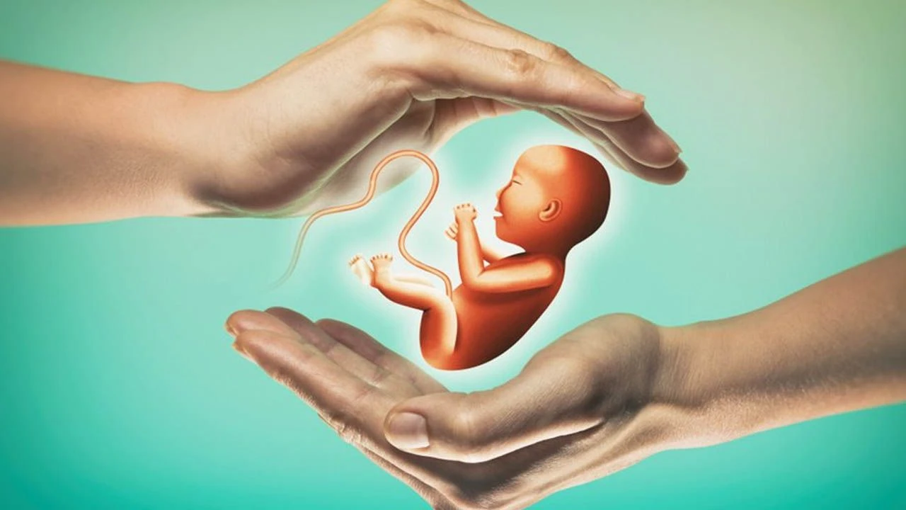 Tüp Bebek Tedavisi Nedir ve Nasıl Uygulanır?