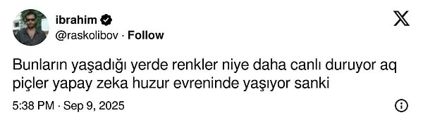 ABD’nin Meşhur Banliyö Mahallelerini Yorumlarken Güldüren X Kullanıcıları – Bir Kahkaha Dalgasıyla İnceleyen Eğlenceli Bir Keşif